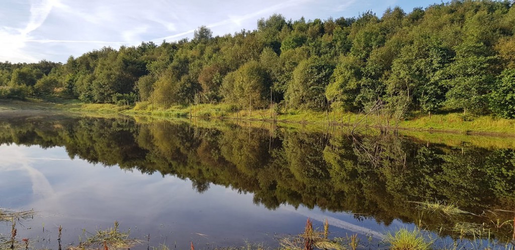 IMG_2904 (2) IMG_2904 (2)